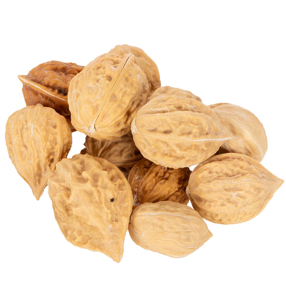 Dekowalnüsse Naturbraun 3-4cm 300g Innenbereich