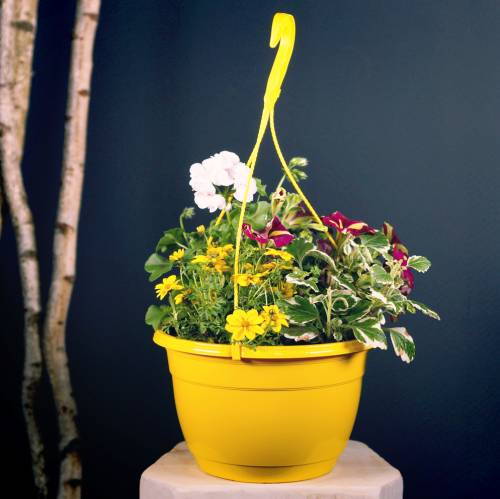 Floristik24 Blumenampel Galicia Weiß Ø20cm H12cm