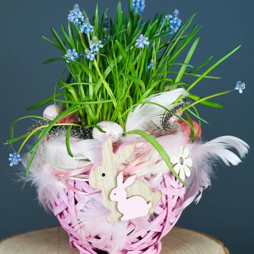 Floristik24 Spankorb Rund Weiß Ø15cm