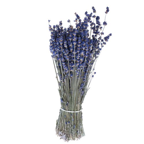 Artikel Getrockneter Lavendel Deko Trockenblumen 25cm 350g 5St