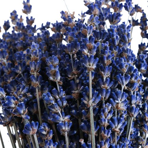 Artikel Getrockneter Lavendel Bund Trockenblume Blau 25cm 75g