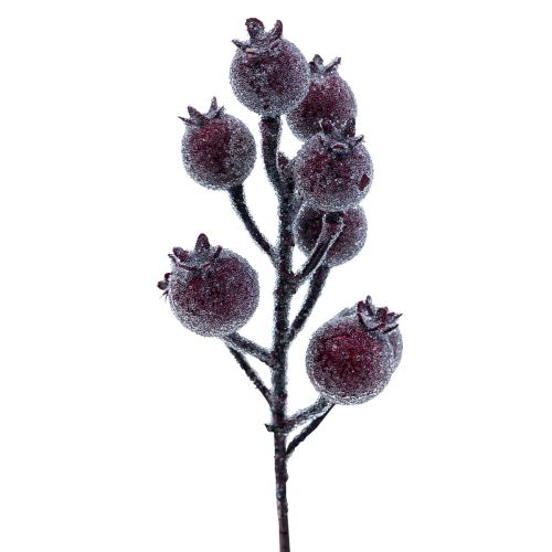 Floristik24 Hagebuttenzweig Beerenzweig Frost Kunstpflanze Rot 25cm 12St