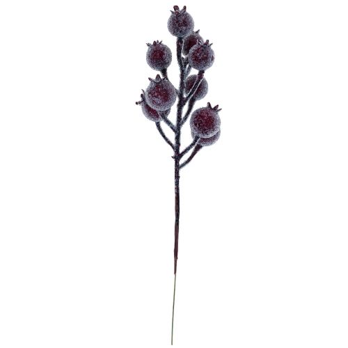 Floristik24 Hagebuttenzweig Beerenzweig Frost Kunstpflanze Rot 25cm 12St