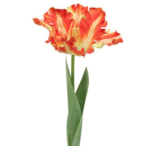 Floristik24 Kunstblume Papageientulpe künstlich Tulpe Orange 69cm