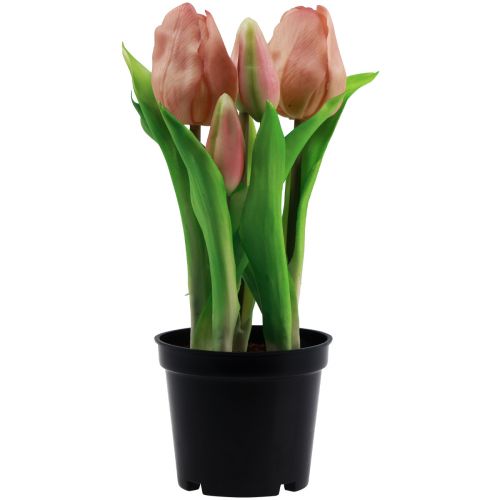 Floristik24 Künstliche Tulpen im Topf Tulpen Peach Kunstblumen 22cm