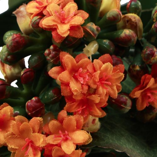 Artikel Flammendes Käthchen Kalanchoe künstlich Orange 24cm