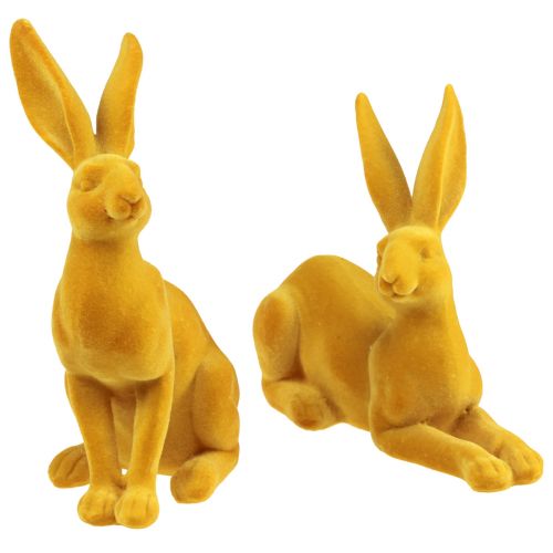 Floristik24 Osterhase Deko Hase Figur Curry Osterhasenpaar 16cm 2 St