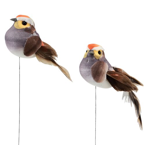 Floristik24 Federvogel am Draht Deko Vogel mit Federn Grau 4cm 12 St
