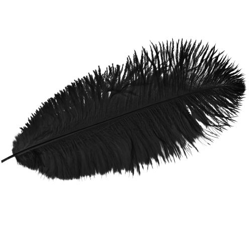 Straußenfedern Deko Schwarze Federn 32-35cm 4 St