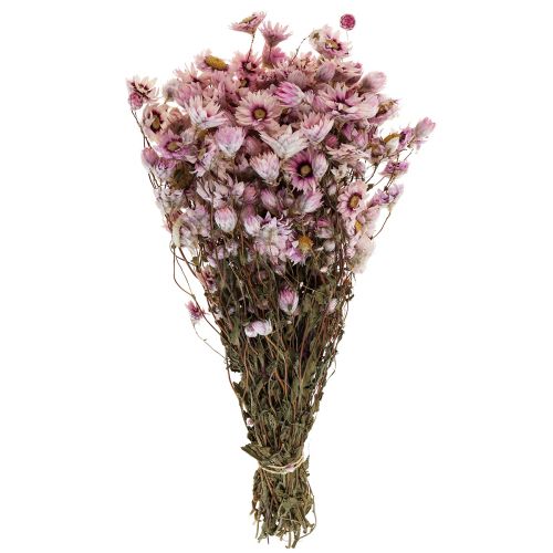 Floristik24 Strohblumen Trockenblumen Weiß Rosa 20-35cm Bund 40g