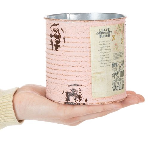 Artikel Blumentopf Deko Dose Lachs Metall Sommerdeko Ø11cm H10,5cm