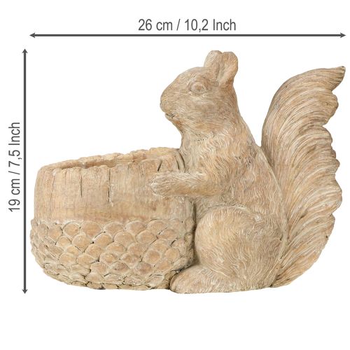 Artikel Übertopf mit Eichhörnchen Steinguss Deko 26×14×19cm