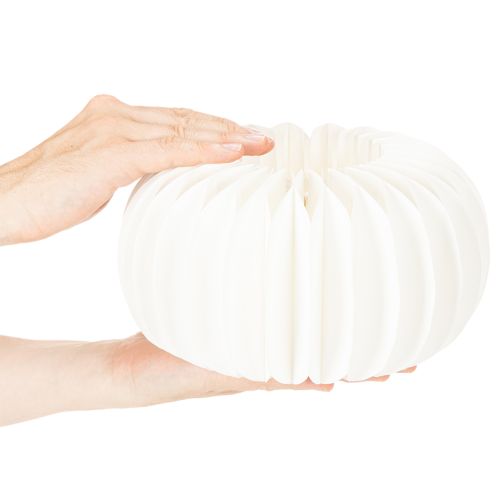 Wabenpapier Kürbis rund 24 cm weiß für Trockenblumen und Herbstdekoration 4 Stück | Floristik24.at