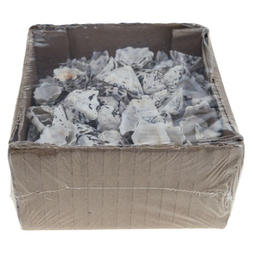 Floristik24 Muschel Deko Muscheln Weiß Schwarz Klein 1-2,5cm 250g