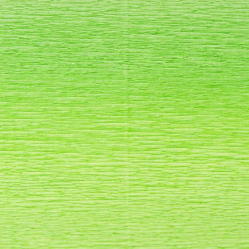 Artikel Floristen-Krepppapier Hellgrün 50x250cm