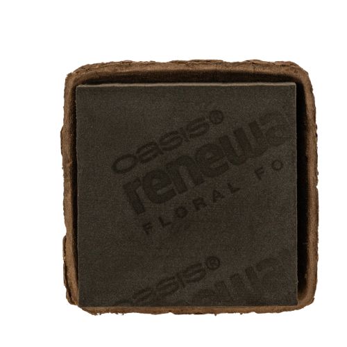 OASIS® Renewal® Floral Foam Biolit® Steckschaum Halbziegel, braun, 12 x 12 x 8 cm, 2 Stück