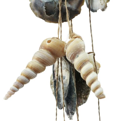 Floristik24 Maritimes Windspiel Schneckenhaus Deko Muscheln 58cm