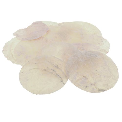 Artikel Capiz Muscheln Perlmuttscheiben Deko Muscheln Hellrosa Ø8cm