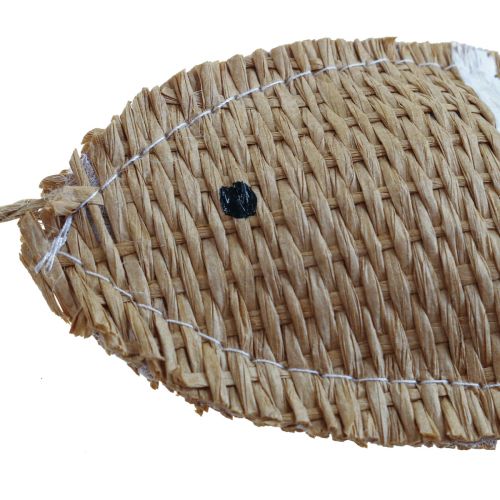 Floristik24 Hängedeko Deko Fische zum Aufhängen Maritime Deko gestreift 14,5×6cm