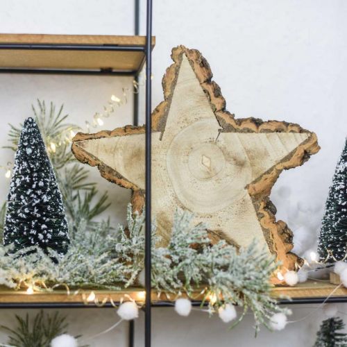 Floristik24 Tablett aus Baumscheibe, Weihnachten, Holzdeko Stern, Naturholz Ø20cm