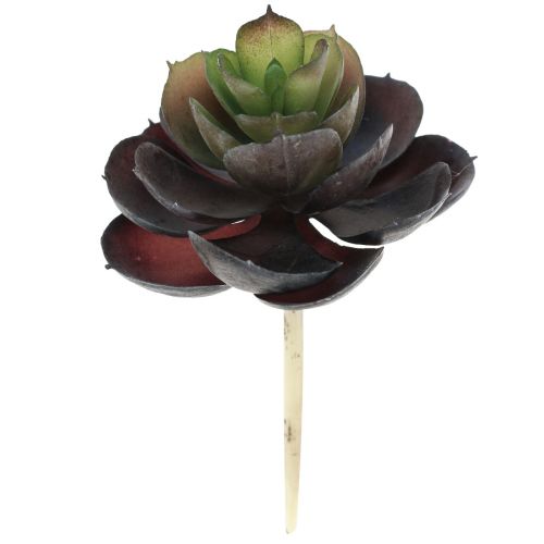 Artikel Sukkulente Echeveria Künstliche Grünpflanzen Ø7cm 12cm 6 St