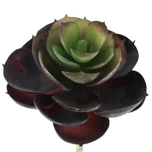 Artikel Sukkulente Echeveria Künstliche Grünpflanzen Ø7cm 12cm 6St