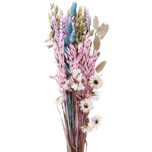 Floristik24 Trockenblumenstrauß Strohblumen Phalaris Getreide 58cm