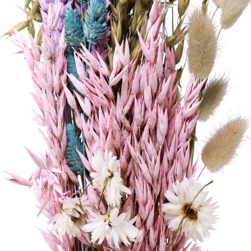 Floristik24 Trockenblumenstrauß Strohblumen Phalaris Getreide 58cm