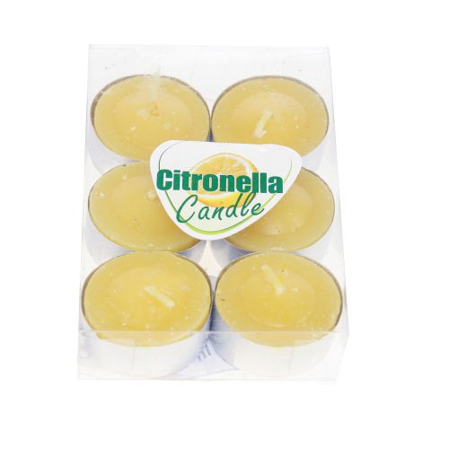 Floristik24 Duftkerze Citronella Kerze, Citronella Teelichter Ø3,5cm H1,5cm 6St