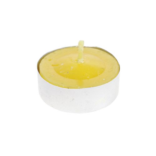Floristik24 Duftkerze Citronella Kerze, Citronella Teelichter Ø3,5cm H1,5cm 6St