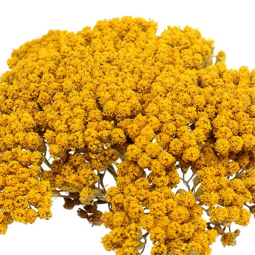 Artikel Achillea 500g Natur