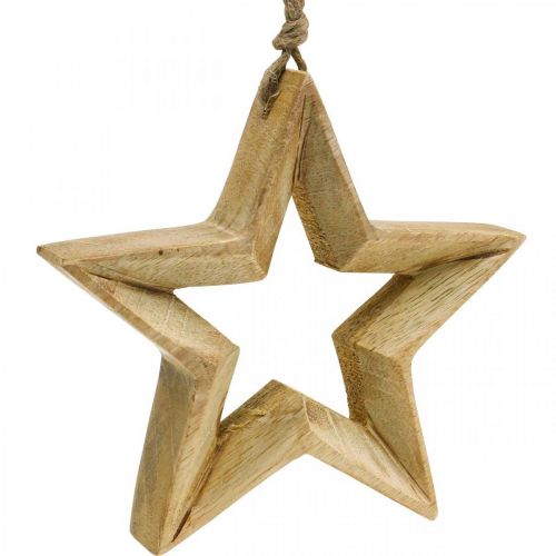 Floristik24 Adventsdeko Stern aus Holz Weihnachtsdeko Stern H14,5cm