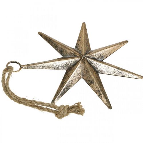 Floristik24 Weihnachtsdeko Stern Anhänger Golden Antik-Optik B19,5cm
