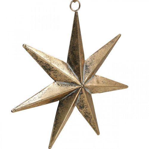 Floristik24 Weihnachtsdeko Gold Stern Anhänger Antik-Optik 30,5cm