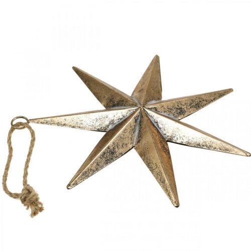 Floristik24 Weihnachtsdeko Gold Stern Anhänger Antik-Optik 30,5cm