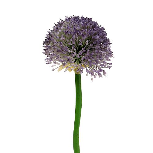 Floristik24 Allium 87cm Lavendel