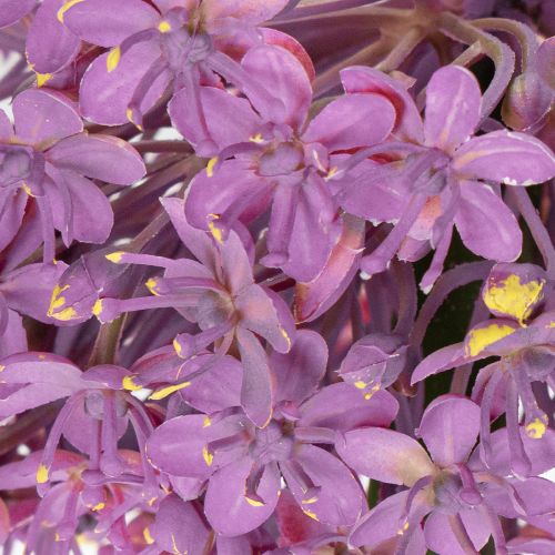 Artikel Kunstblume Allium Zierlauch elegante Raumdekoration 90cm