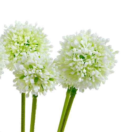 Artikel Allium 35cm Weiß 6St