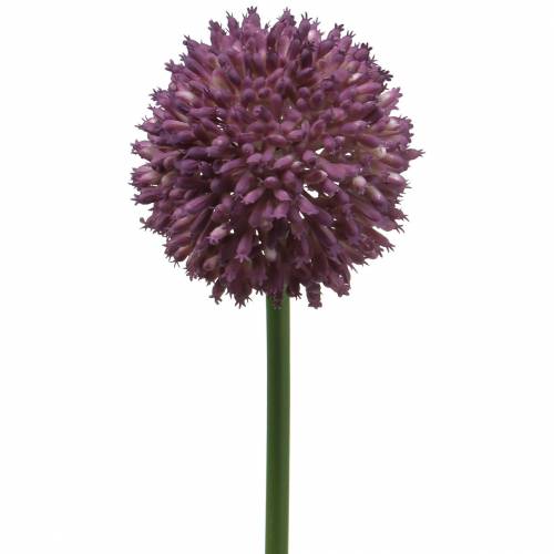 Floristik24 Zierlauch Allium künstlich Lila Ø8cm 58cm