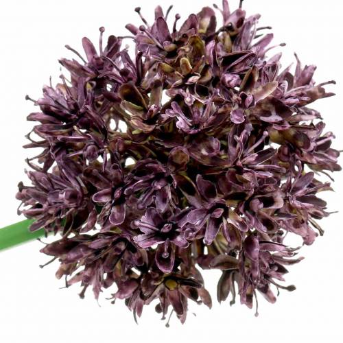 Artikel Zierlauch Allium künstlich Lila Ø7cm H58cm 4St