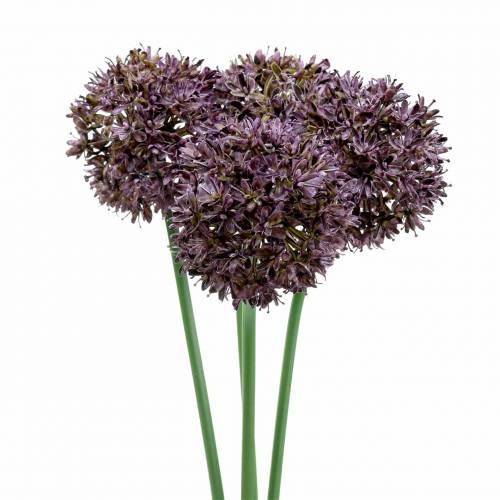 Floristik24 Zierlauch Allium künstlich Lila Ø7cm H58cm 4St