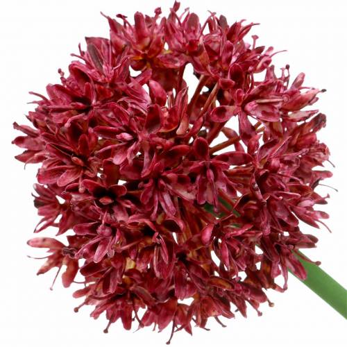 Zierlauch Allium künstlich Mauve Ø7cm H58cm 4St