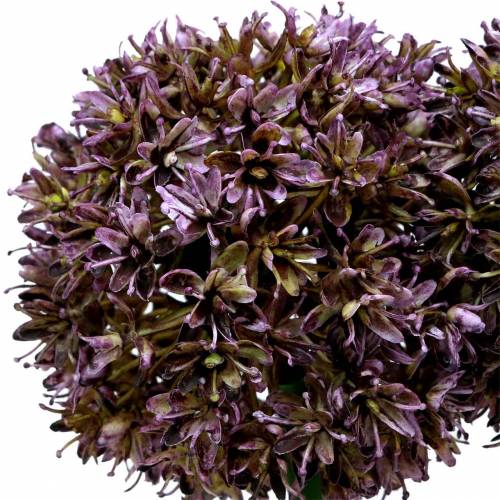 Artikel Zierlauch Allium künstlich Lila 70cm 3St