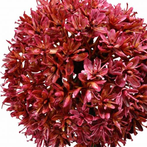 Artikel Zierlauch Allium künstlich Mauve Ø9cm H70cm 3St