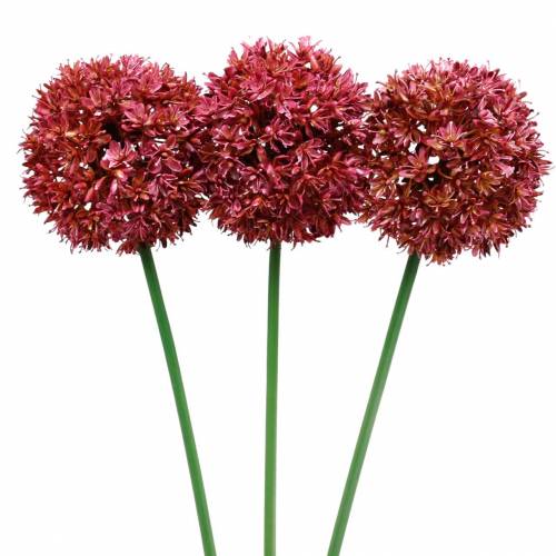 Floristik24 Zierlauch Allium künstlich Mauve Ø9cm H70cm 3St