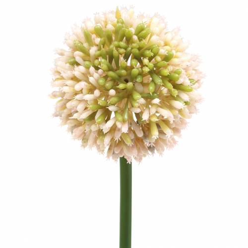 Floristik24 Zierlauch Allium künstlich Rosa/Grün Ø8cm 58cm