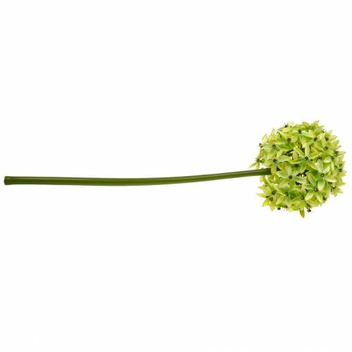 Artikel Zierlauch Allium, Seidenblume, künstlicher Kugellauch Grün Ø20cm L72cm