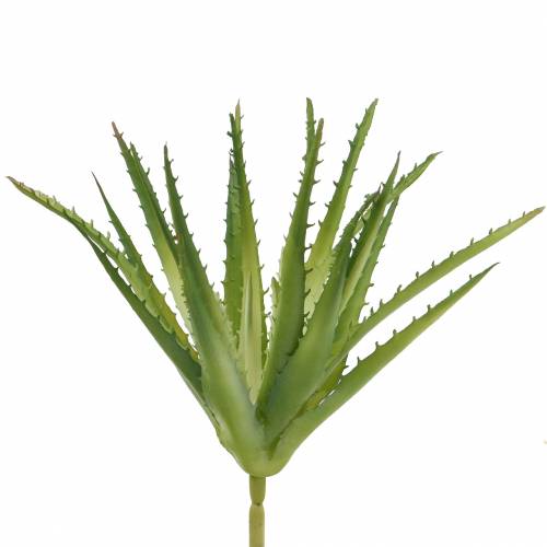 Floristik24 Aloe Vera künstlich Grün 26cm