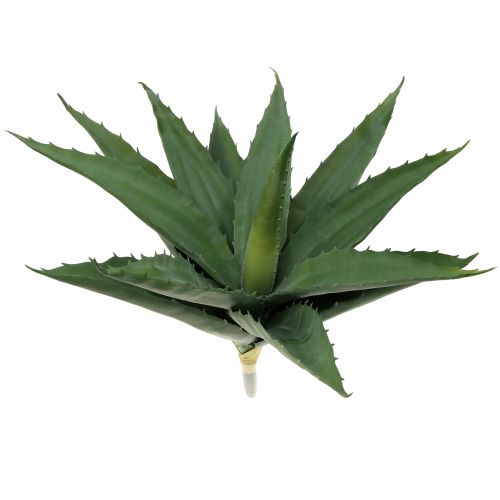 Floristik24 Aloe Zweig künstlich Grün 47cm