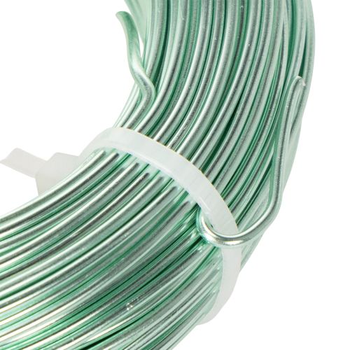 Aluminiumdraht 2 mm 60 m mintgrün für Bastel- und Dekorationsprojekte | Floristik24.at